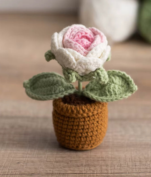 Gehäkelte Rose in Rosa und Weiß im Topf – handgemachte Wollblume als Geschenkidee